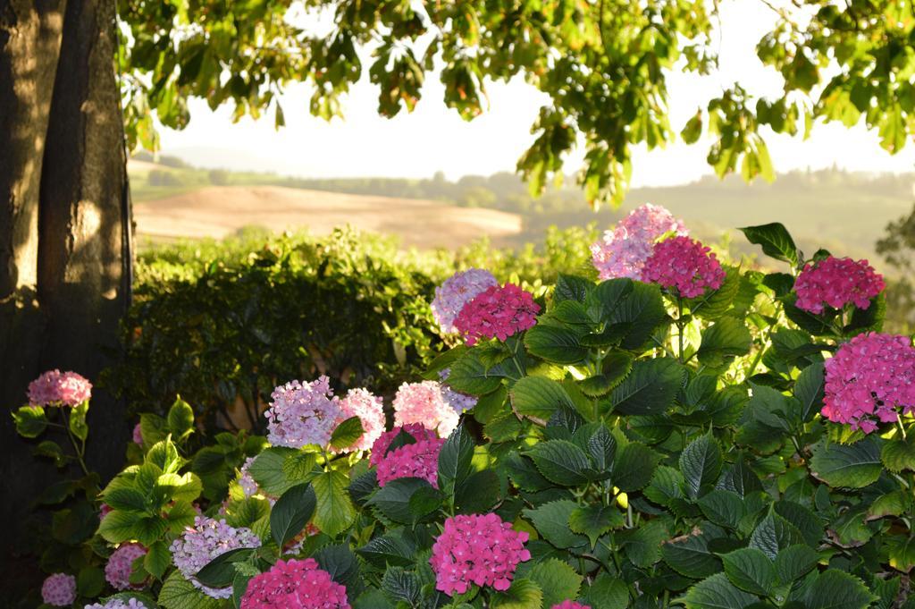 Agriturismo Cavazzone Regnano  المظهر الخارجي الصورة